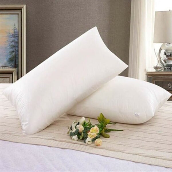 Luxury Filled Packed Pillow