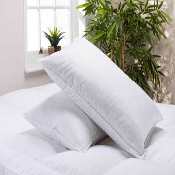 Vaccum Packed Filled Pillow with cotton-1 Pair