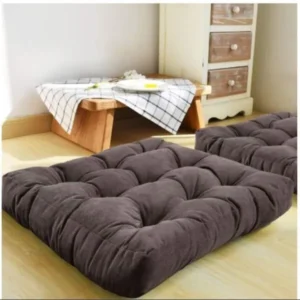 Velvet Floor Cushion Pair Set-pepsi